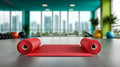 Exercise Mat